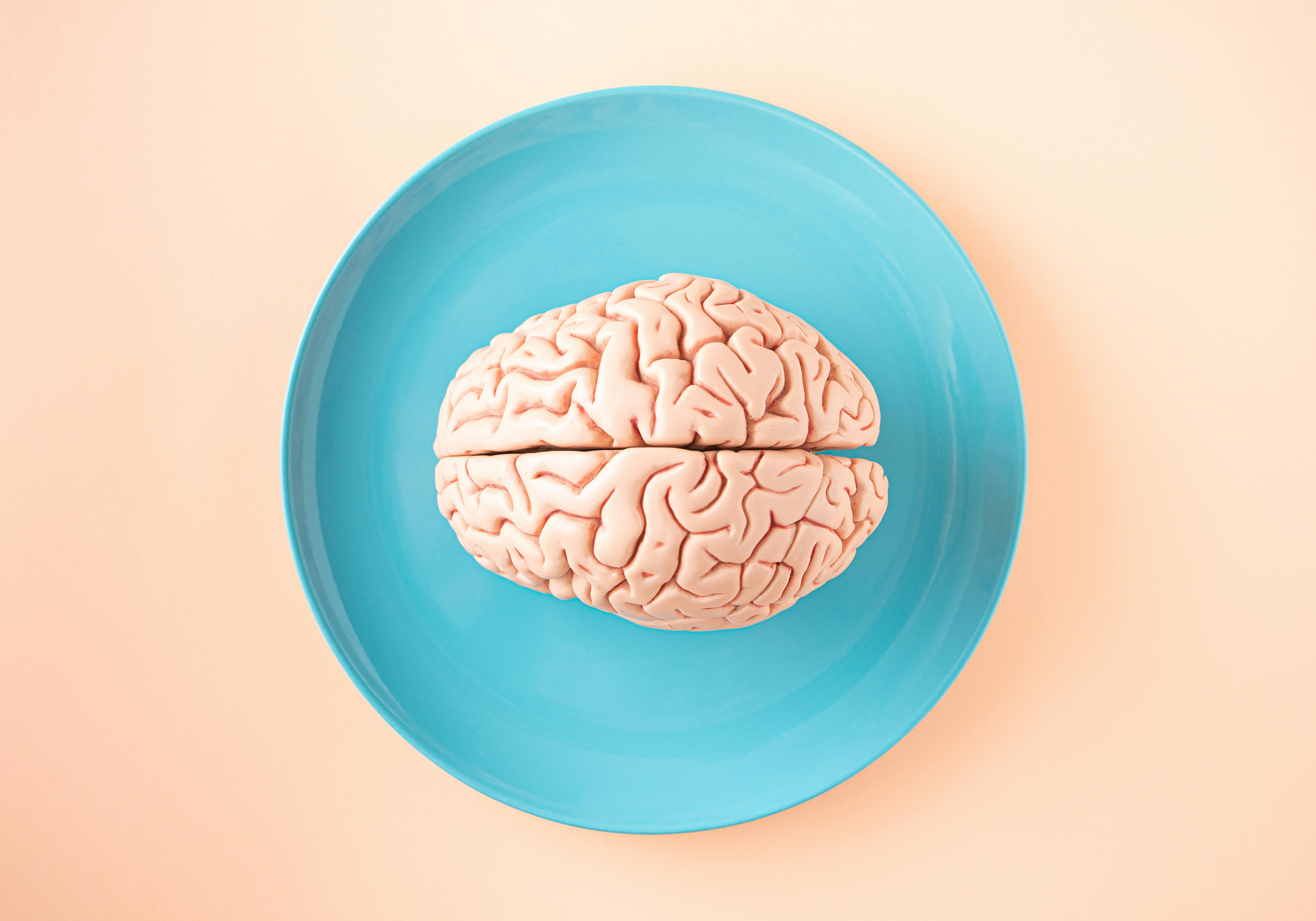 Cerebro humano en un plato azul